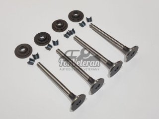 Výfukové ventily – sada vč. misek a klínků TAZ 1500 ; 109020262MM